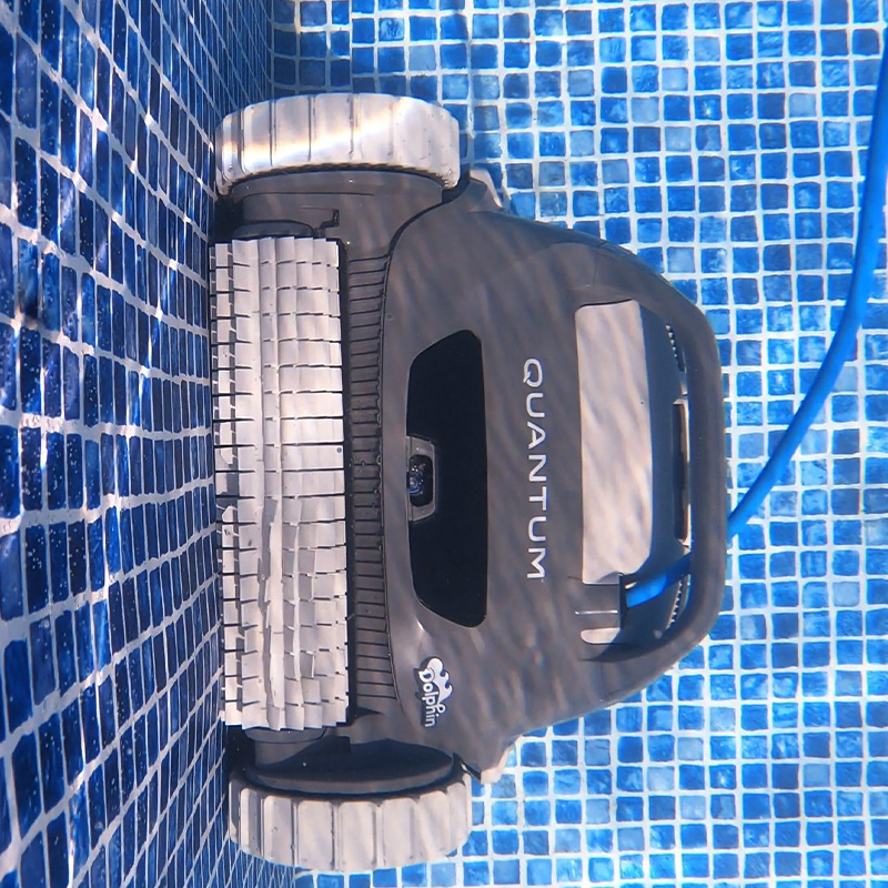 Dolphin Quantum Wall Climbing