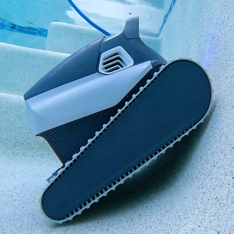 Dolphin Quantum Wall Climbing