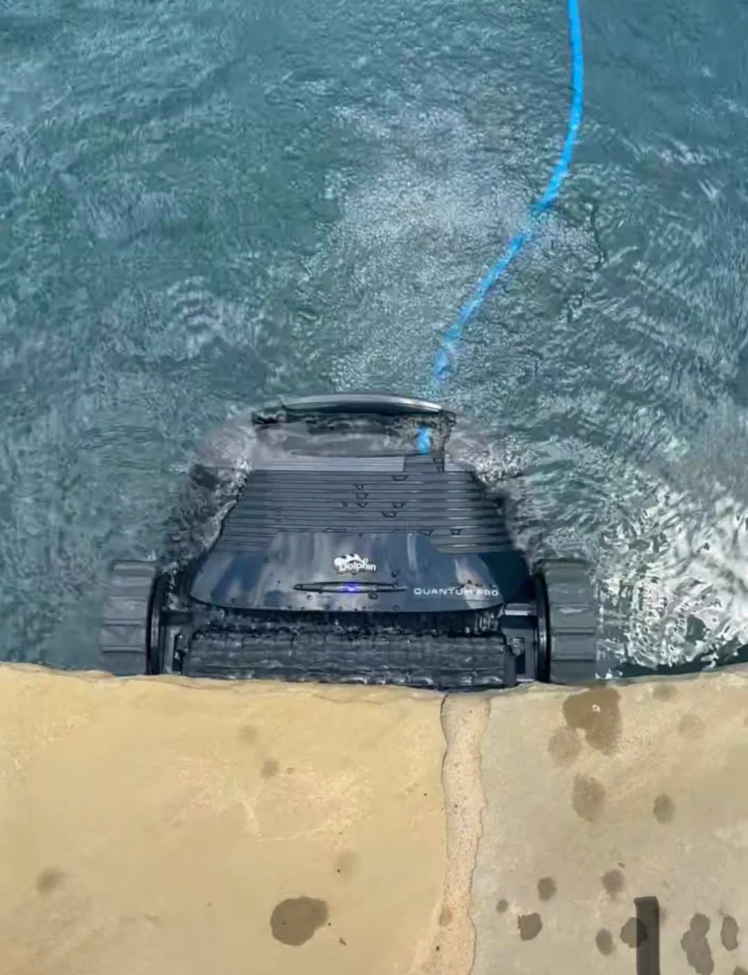 Dolphin Quantum Pro cleaning along a pool wall and waterline